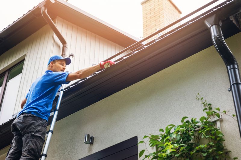 Eaves Cleaning