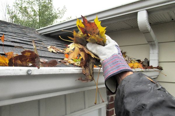 Cost of Eaves Cleaning in Elgin