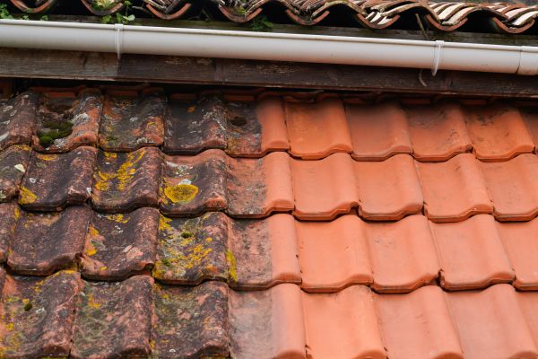 Industrial Roof Cleaning in Elgin